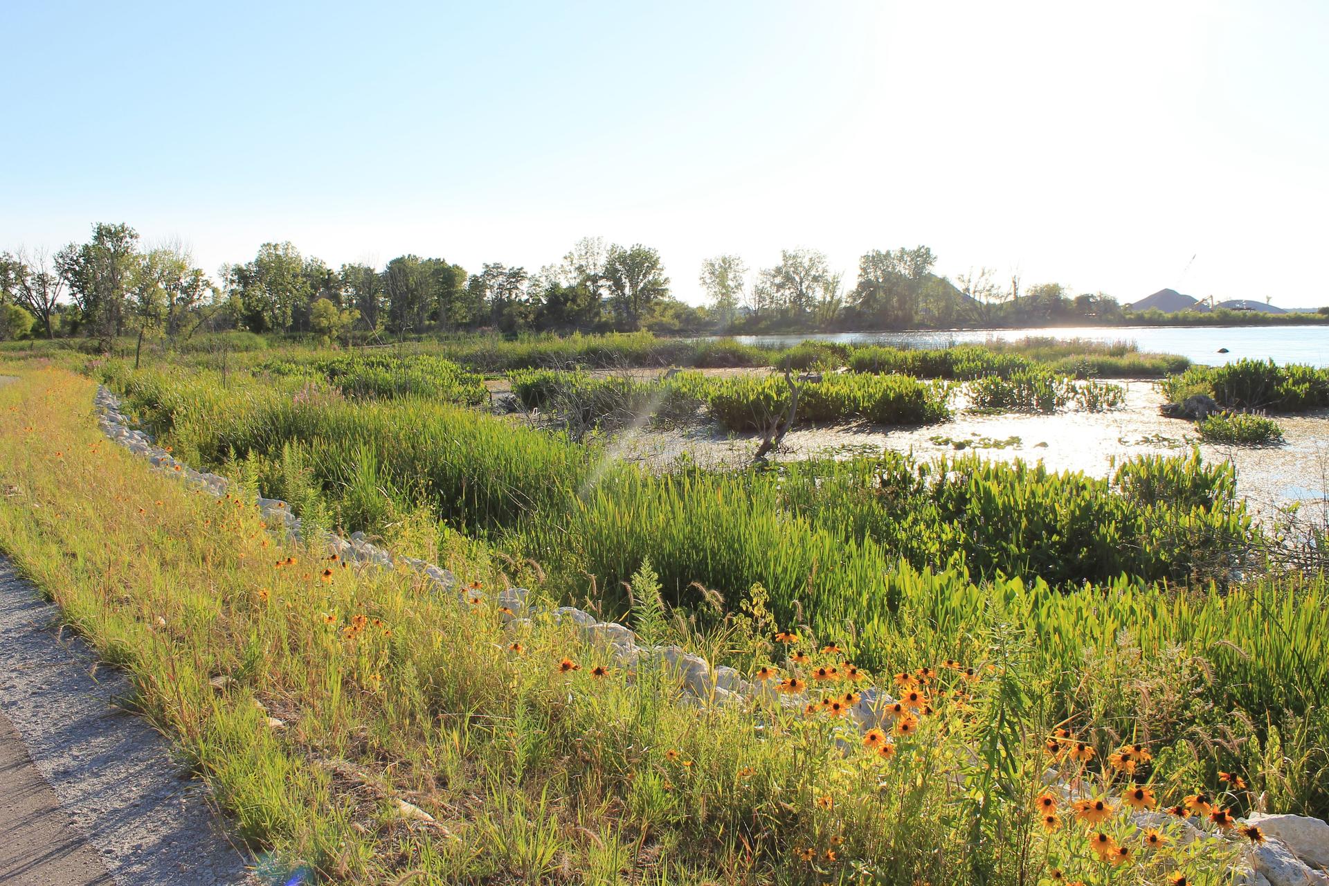 Lake Muskegon
